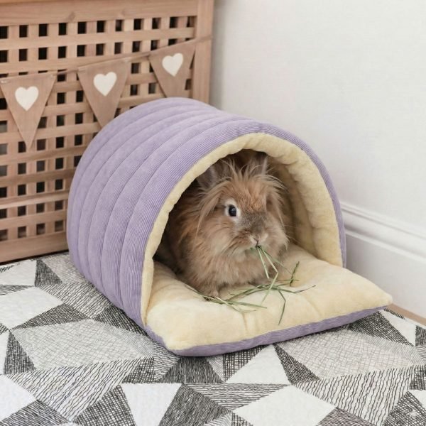 bunny house hideout bunny house hideout