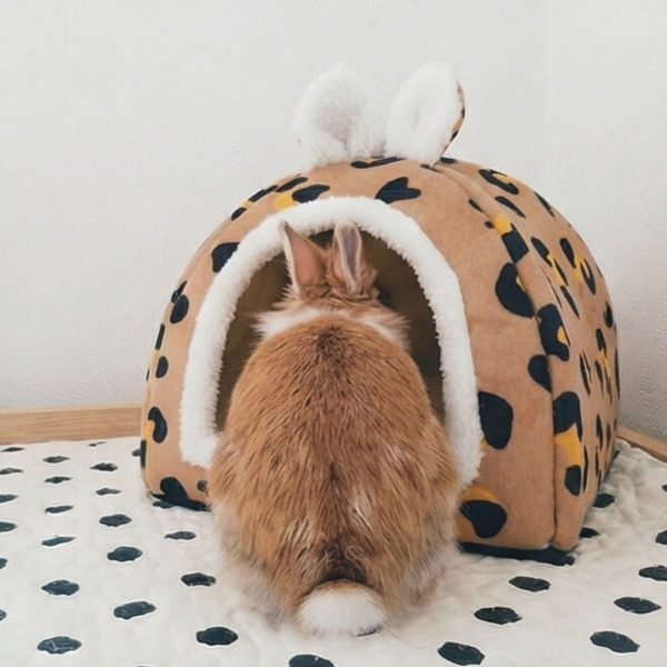 bunny house perfect for naps