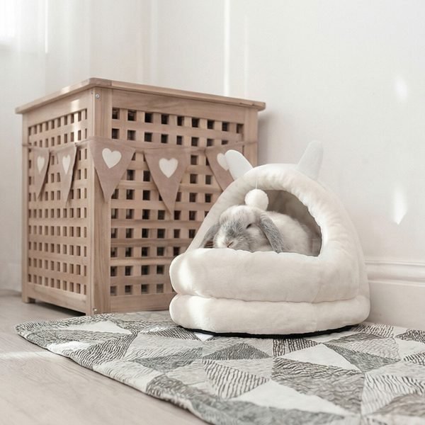 bunny house with rabbit hears