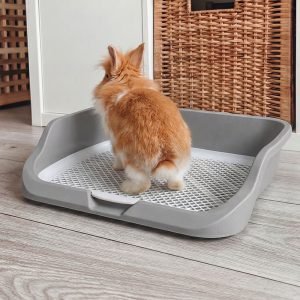 bunny litter box grey for rabbits
