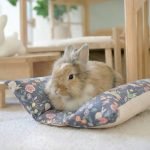 bunny snuggle bed