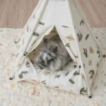 bunny teepee house