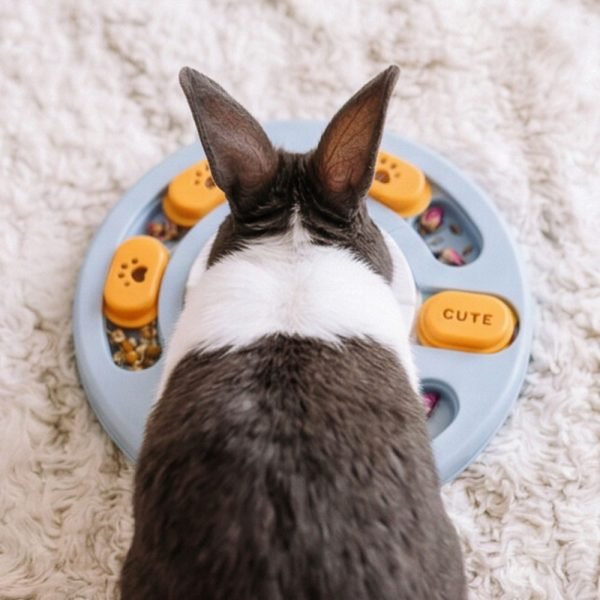 bunny toy funny