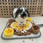 bunny toys for rabbits mat