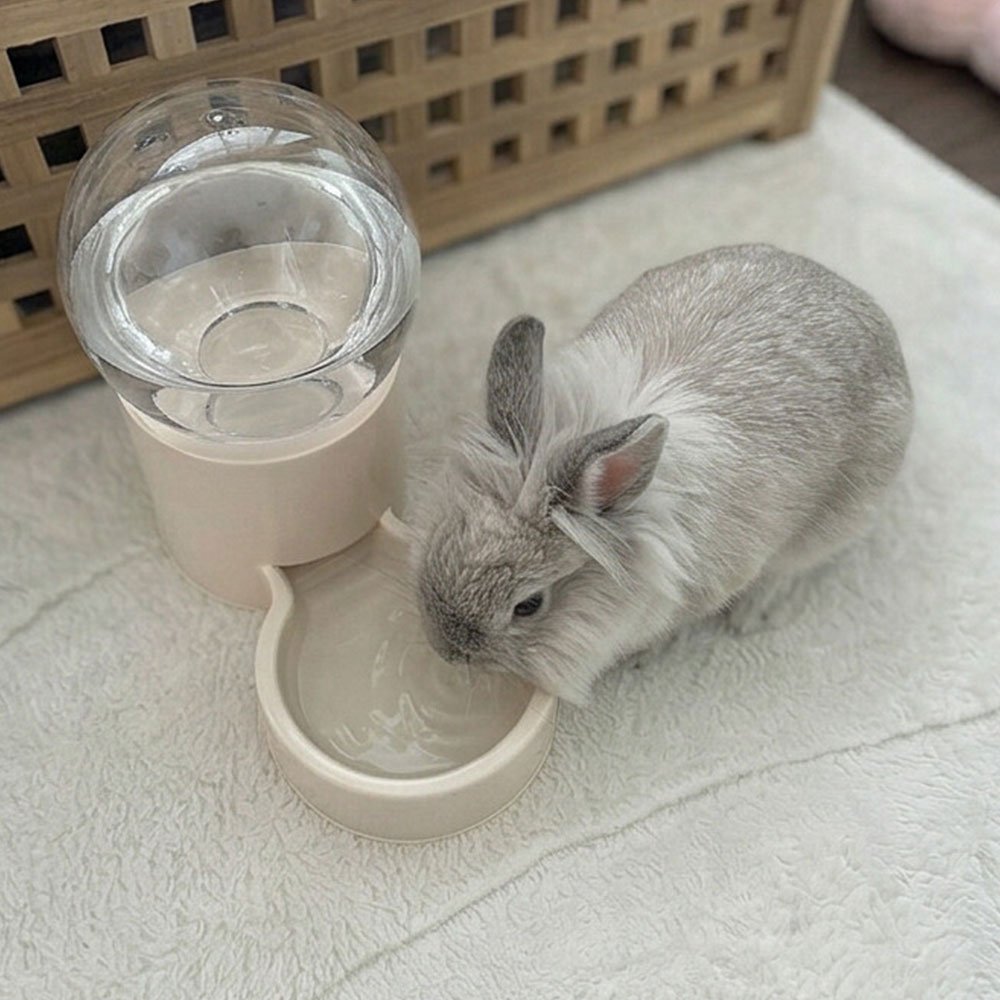 bunny water bottle