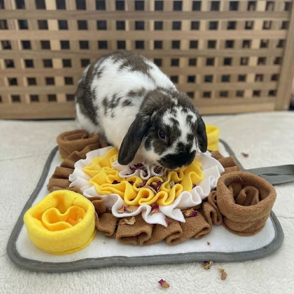 enrichment toys for rabbits mat