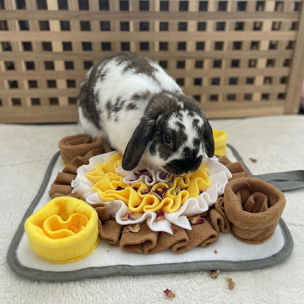 enrichment toys for rabbits mat