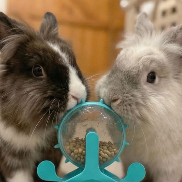 good toys for rabbits smart