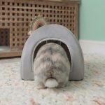 grey rabbit hideout