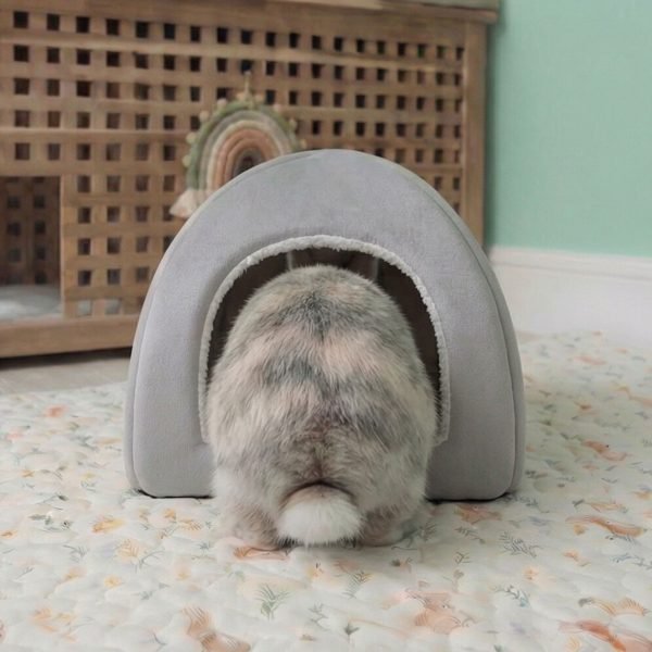 grey rabbit hideout