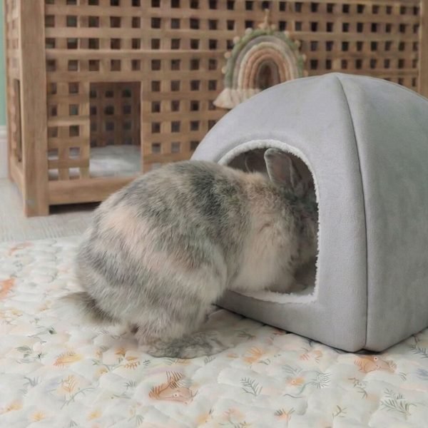 grey rabbit house
