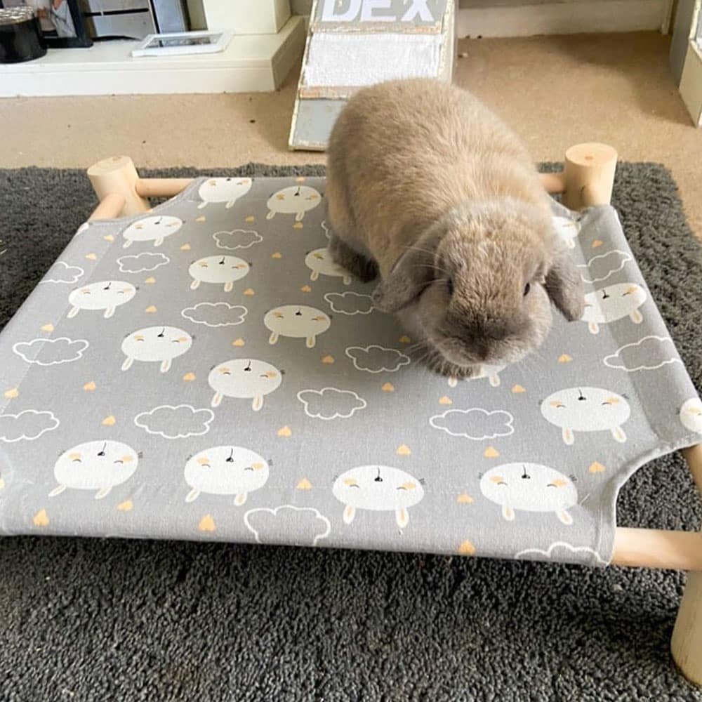 Bed for bunny