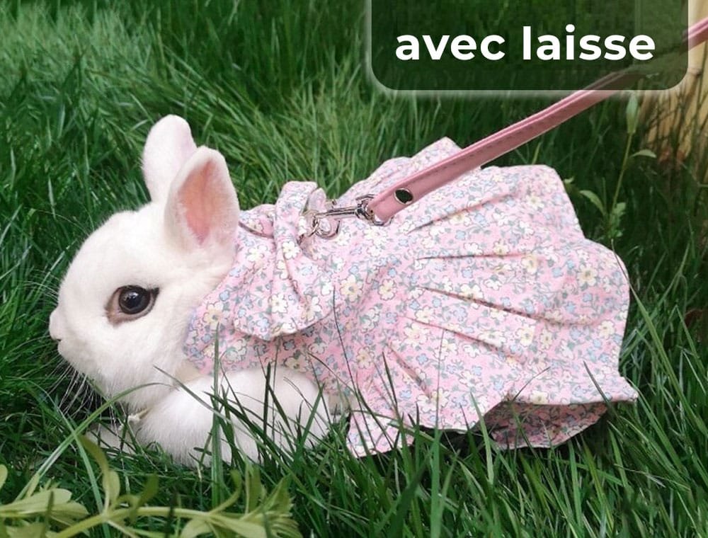 rabbit harness
