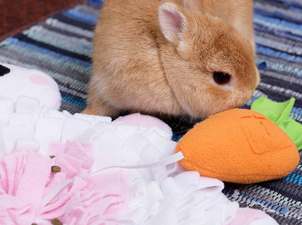 Rabbit forage mat with carrot