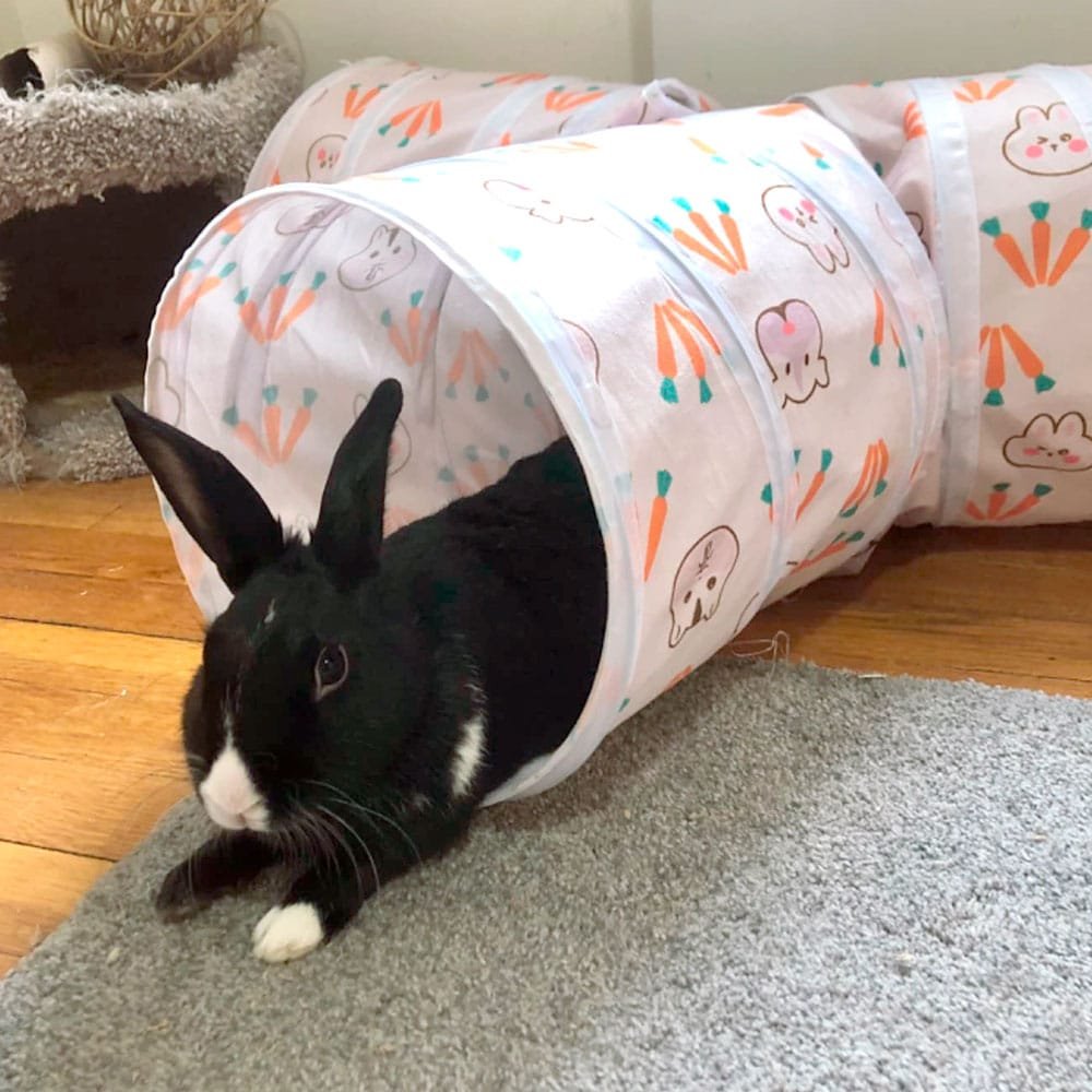 Rabbit tunnel - toy for rabbit