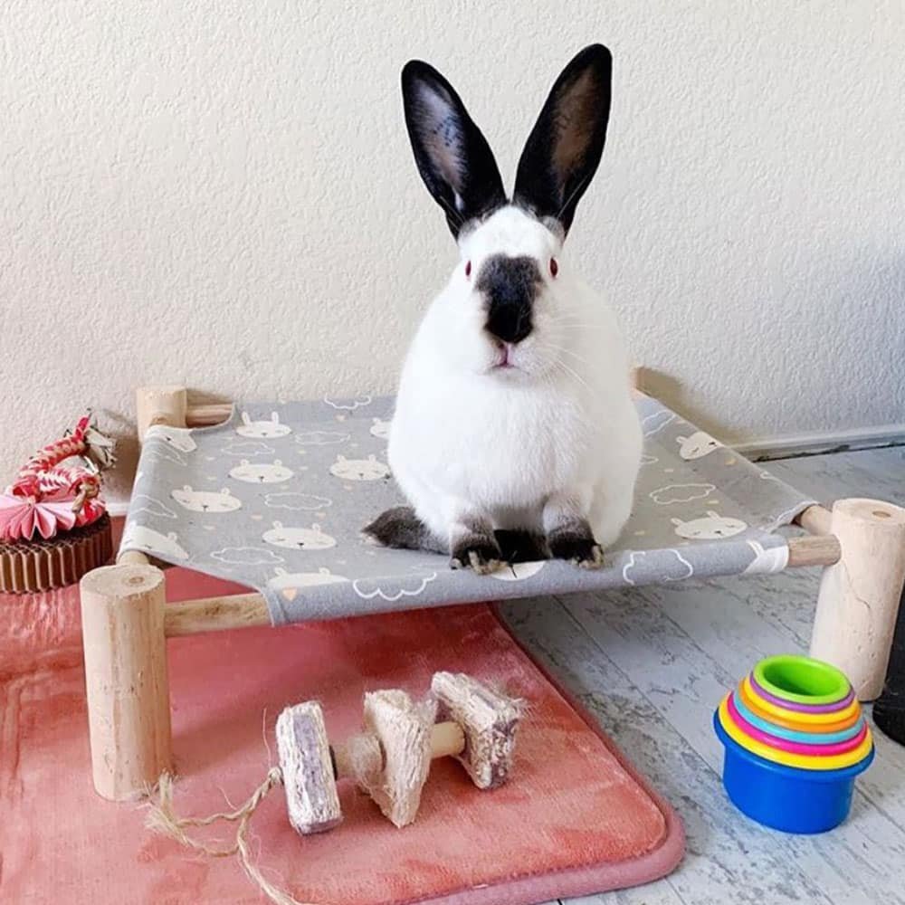 bed for rabbits in wood