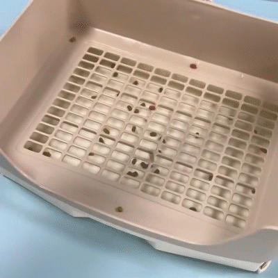 Rabbit litter box _ THE BEST