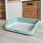 litter box for Rabbits