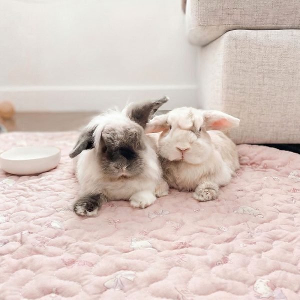 pink rabbit mat non slip