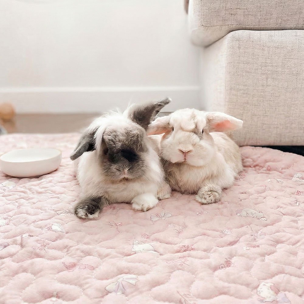 pink rabbit mat non slip