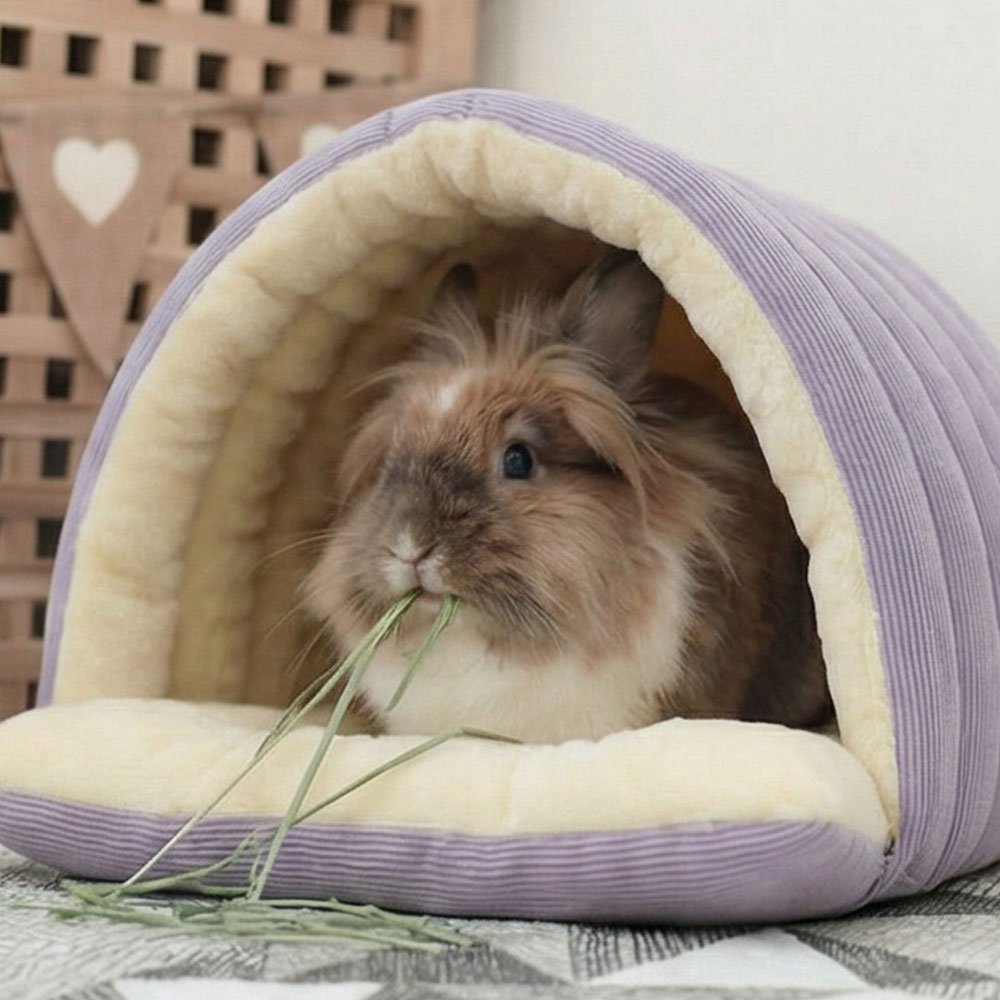purple rabbit house