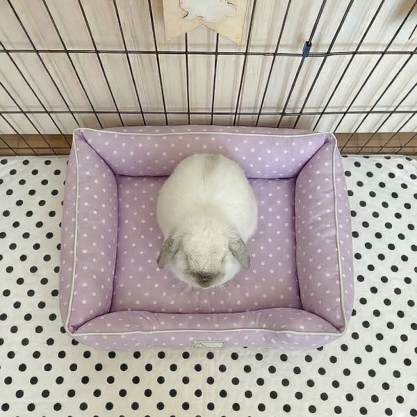 rabbit bed nest