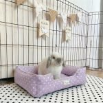 rabbit bed purple