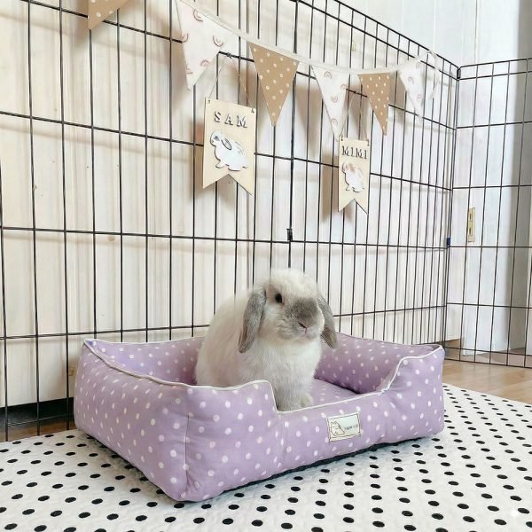 rabbit bed purple
