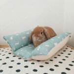 rabbit bed snuggle bed