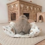 rabbit bed white for bunnies