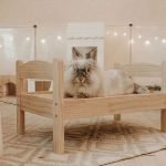 rabbit bed wood