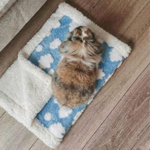 rabbit blanket blue fleece mat