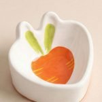 rabbit bowl carrot design