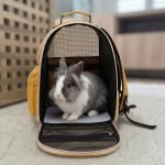 rabbit carrier easy