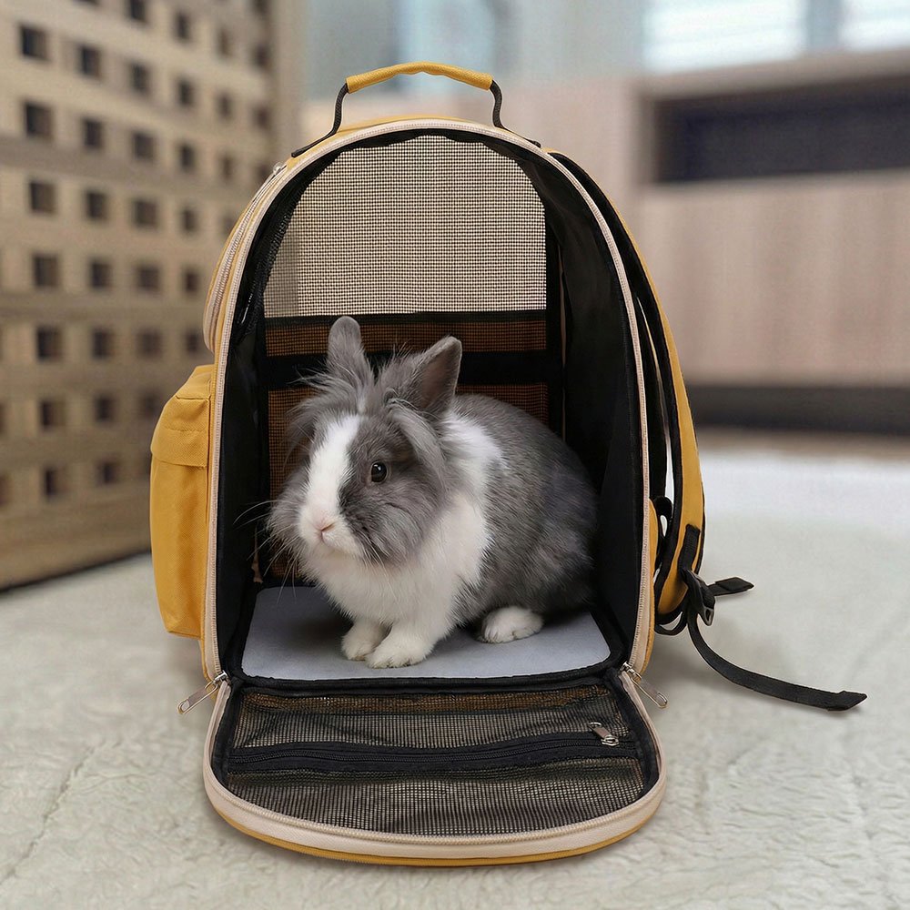 rabbit carrier easy