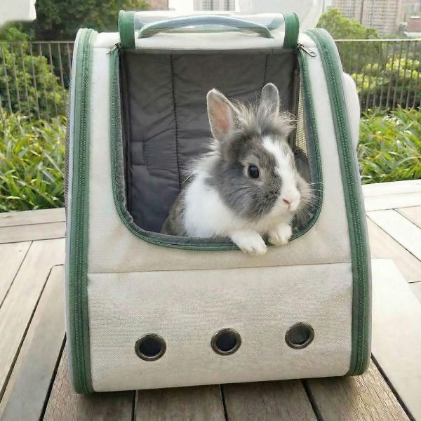 rabbit carrier for buns