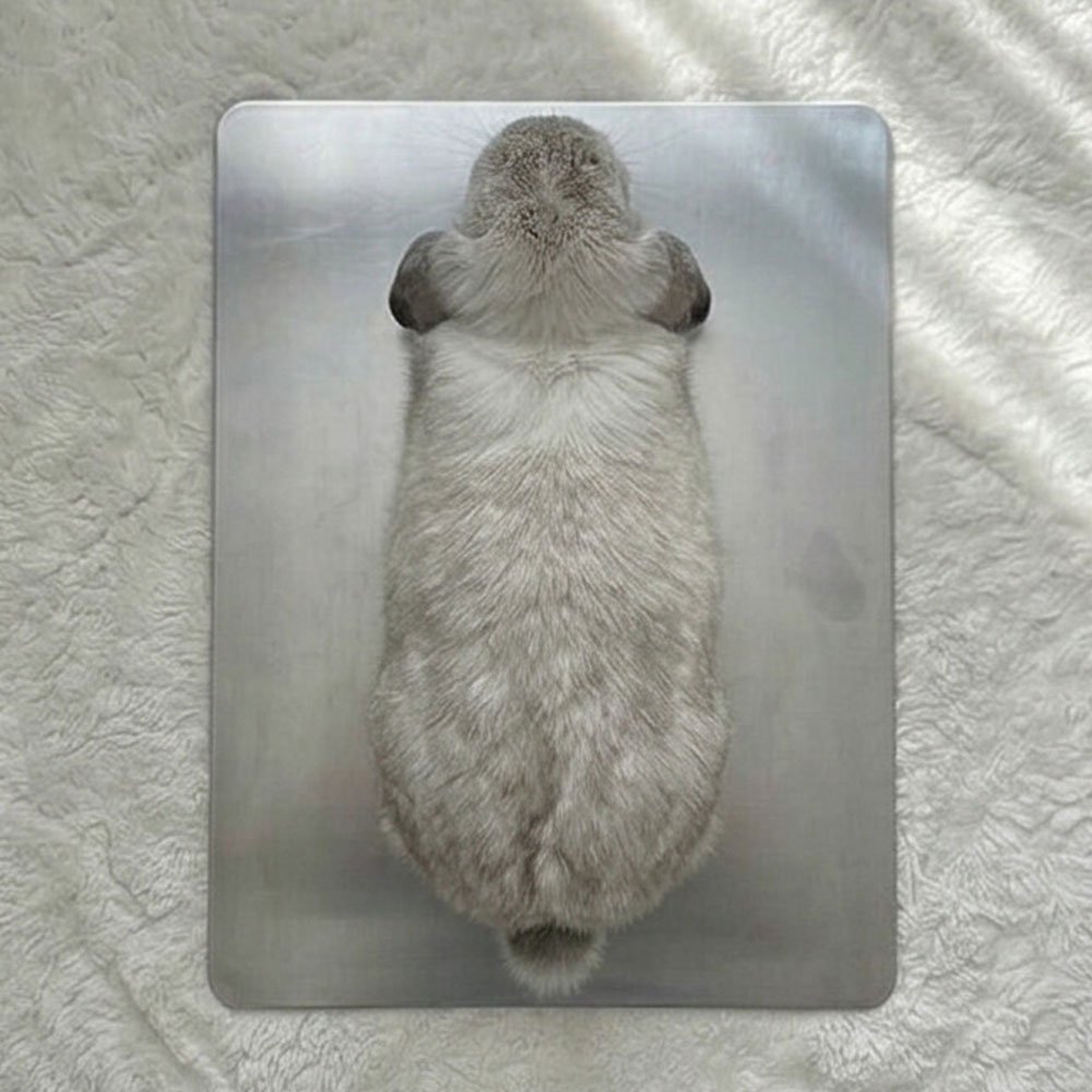 rabbit cooling mat for summer