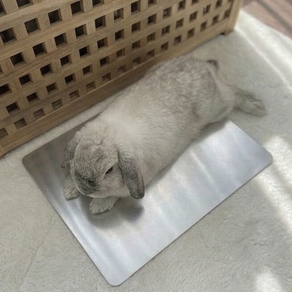 rabbit cooling mat fresh