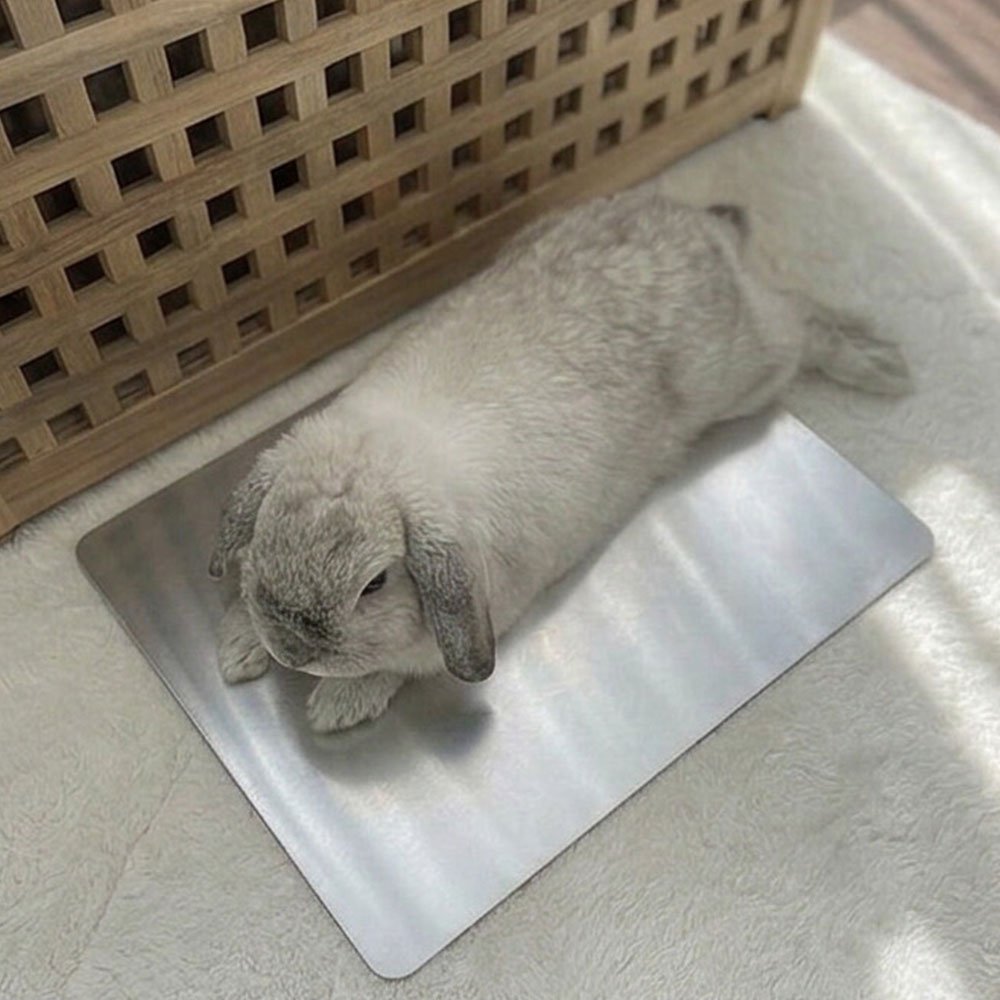 rabbit cooling mat fresh