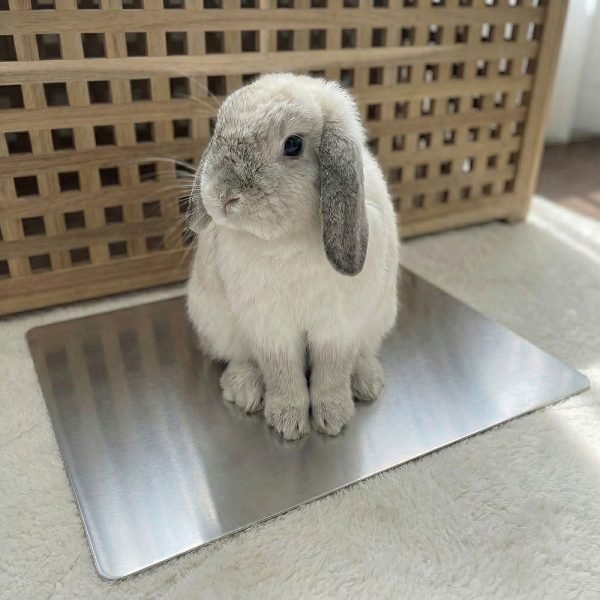 rabbit cooling pad