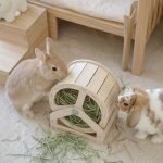 rabbit feeder for hay