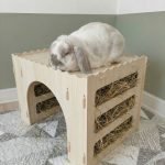 rabbit feeder house