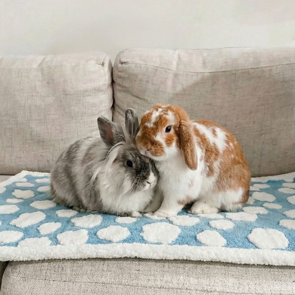 rabbit fleece mat