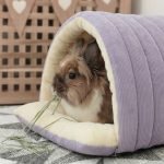 rabbit hideout bed