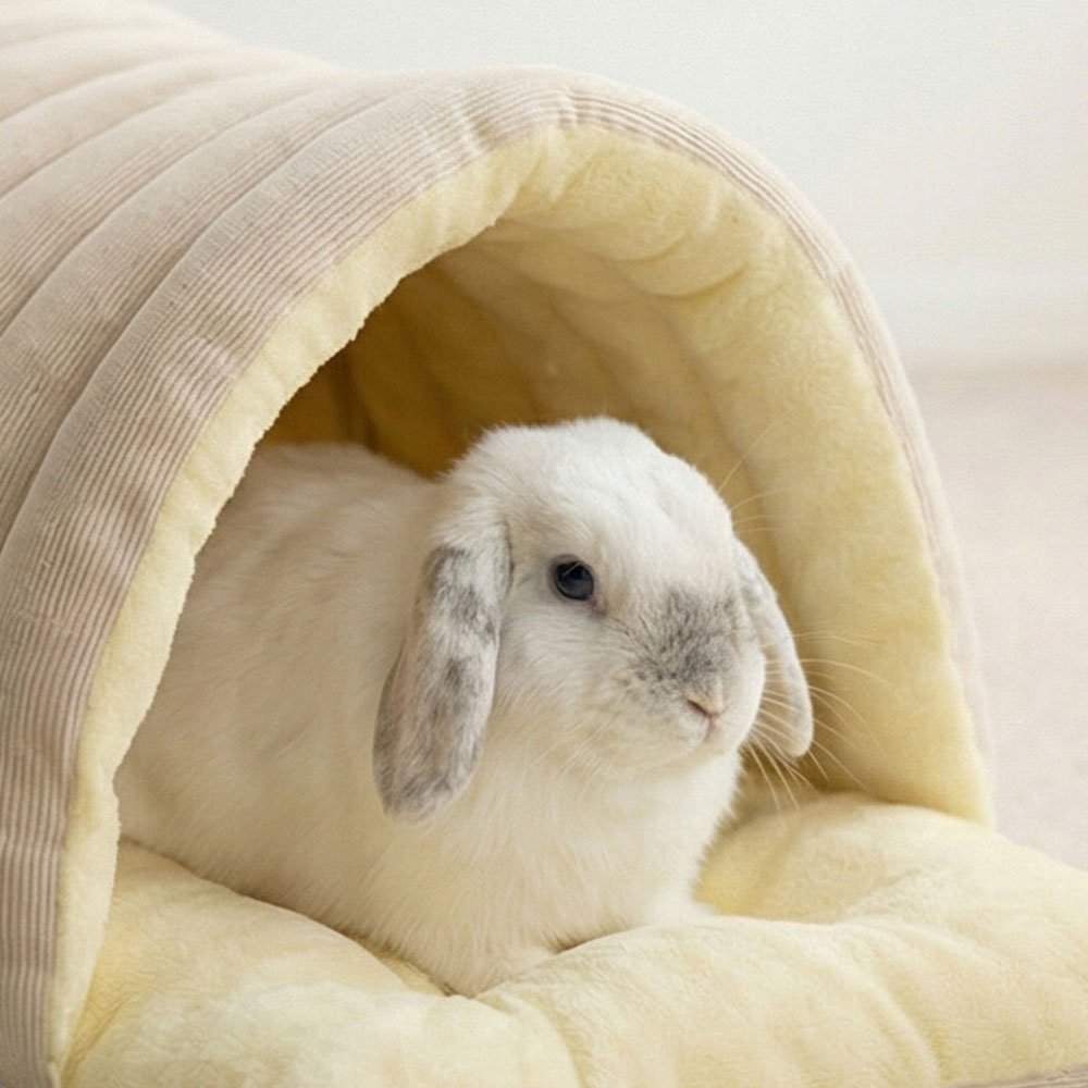 rabbit hideout cute