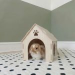 rabbit hideout in wood
