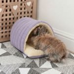 rabbit hideout purple