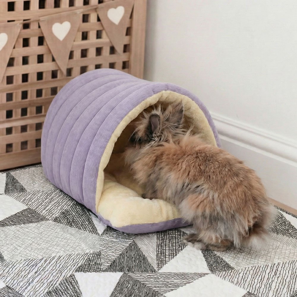 rabbit hideout purple