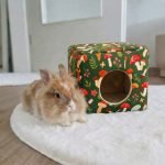 rabbit hideout square shape