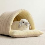 rabbit hideout tunnel beige